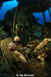 Full throttle! Cockpit of plane wreck in Bodrum/Turkiye. by Alp Baranok 